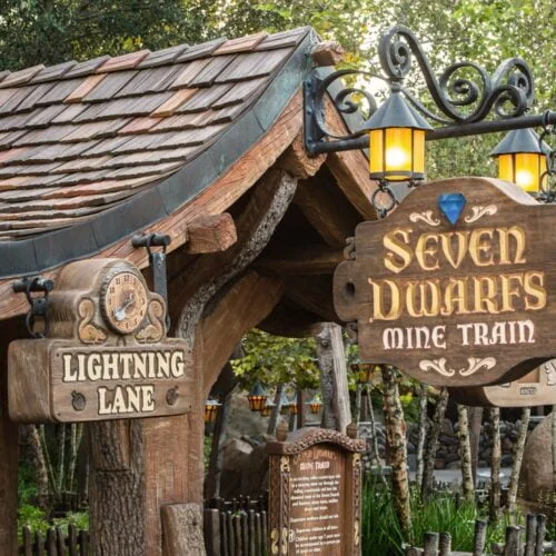 Trip to Magic Kingdom