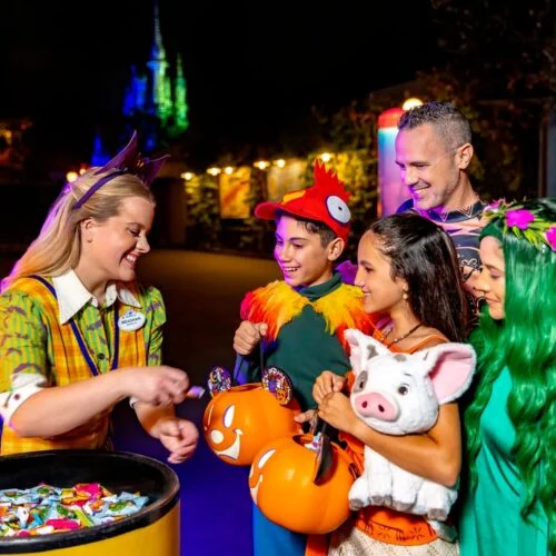 Trip to Magic Kingdom