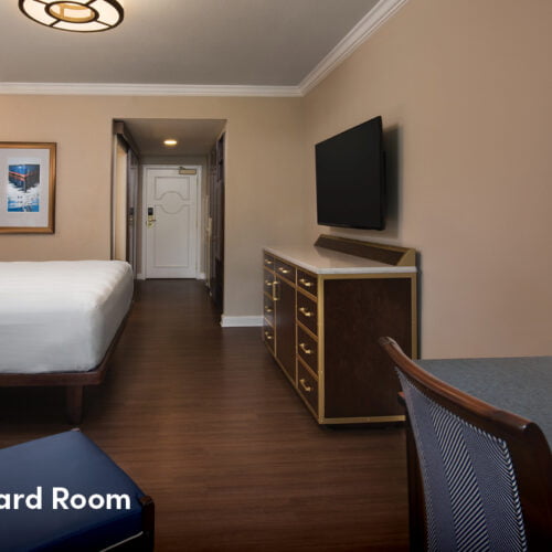 Disney Luxury Hotel