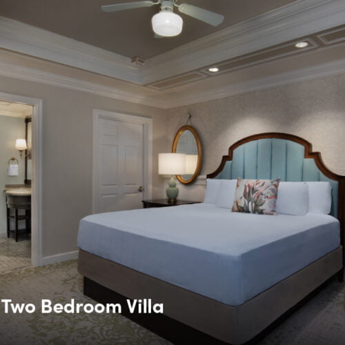 Disney Luxury Hotel