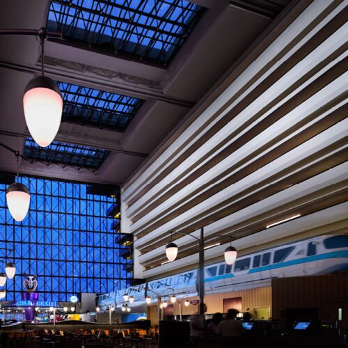 Disney Luxury Hotel