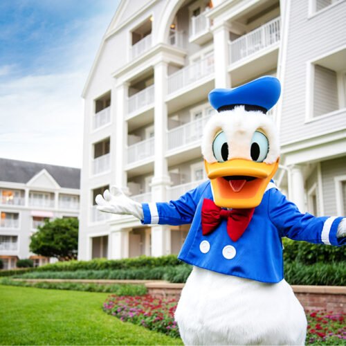 Disney Luxury Hotel