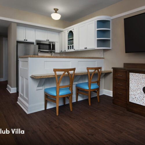Disney Luxury Hotel