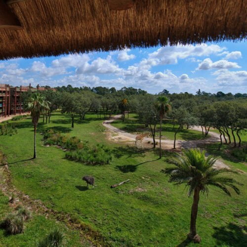Disney Luxury Hotel