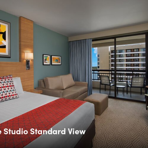 Disney Luxury Hotel