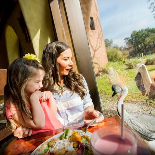 Disney Luxury Hotel