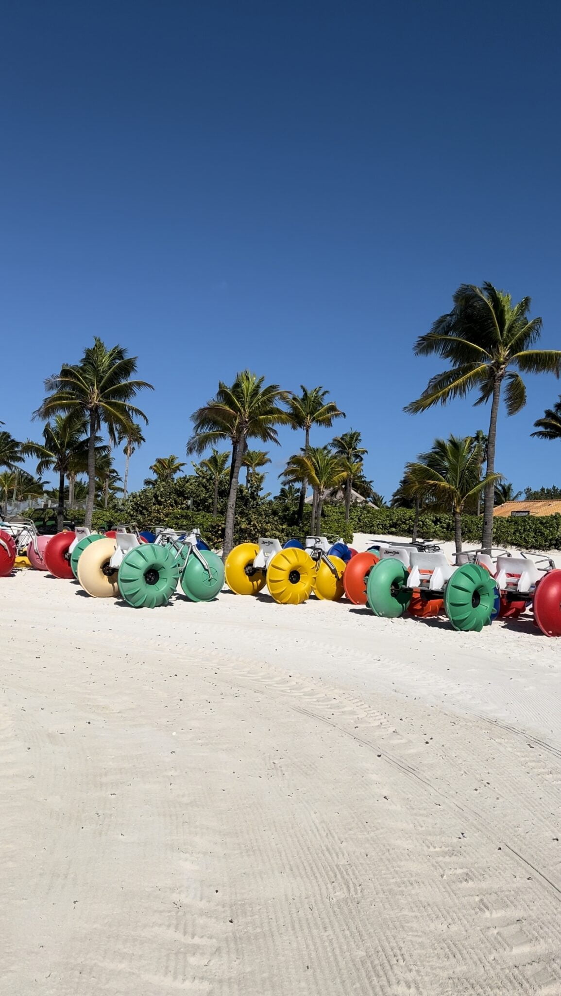 Otra fotografía vertical de la experiencia Disney Castaway Cay