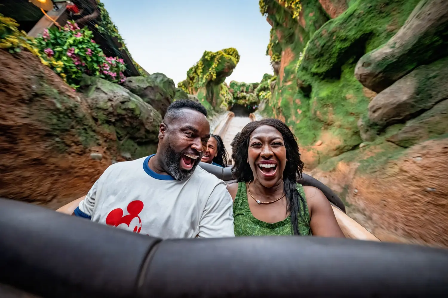 Tiana's Bayou Adventure