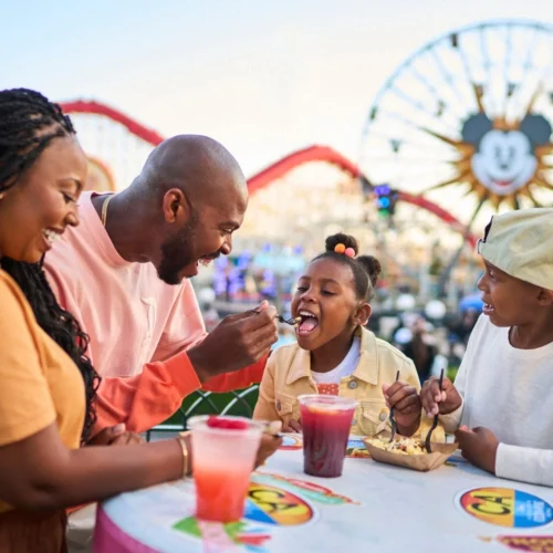 planificar unas vacaciones en Disneyland