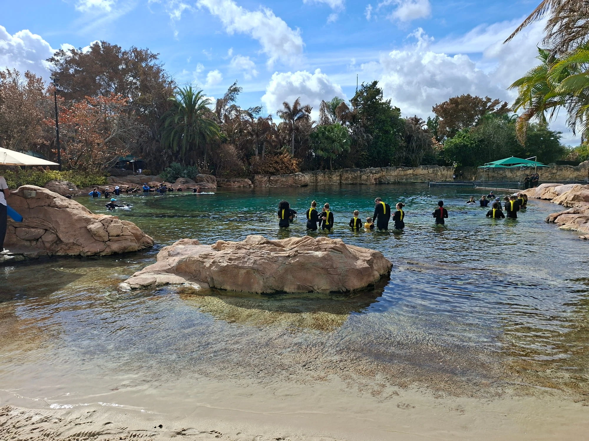 Discovery Cove en Orlando